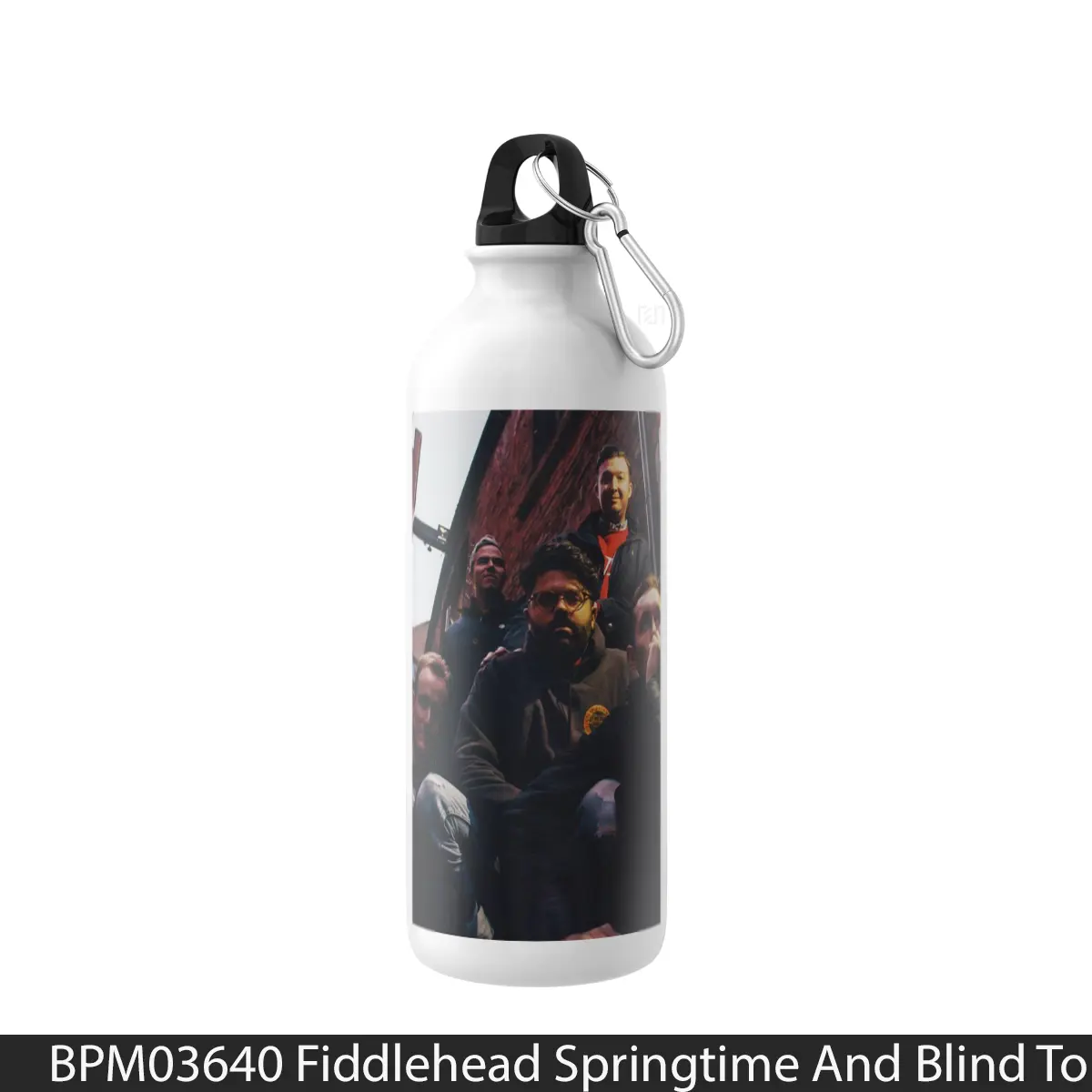 Botol Fiddlehead Springtime And Blind Tour - Music Sport Bottle