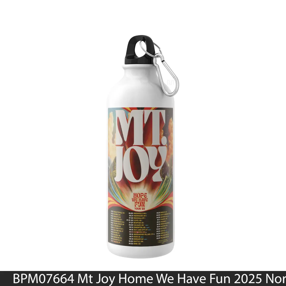 Botol Mt Joy Home We Have Fun 2025 North America - Music Sport Bottle